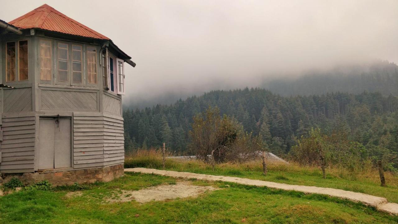 Black Bear Cottage Khajjiar Exterior foto